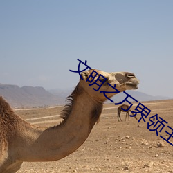 文明之萬界領主