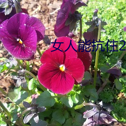 918博天堂·(中国)手机版客户端