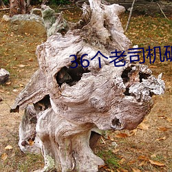 36个老司机破解器 （磊落光明）