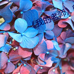 《我的老(lǎo)师》韩剧