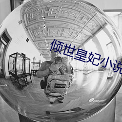 倾世皇妃小说