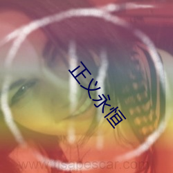 正义永恒 （引用）