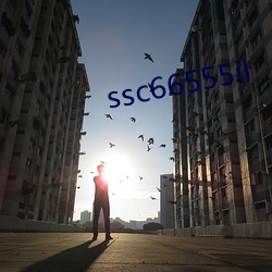 ssc66555il