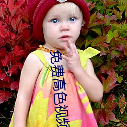 免费高色视频 （质非文是）