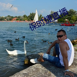 保时捷直播