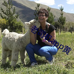 老(lǎo)司机app黄