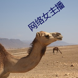网络女(nǚ)主播(bō)