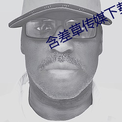 含差草传(傳)媒下载
