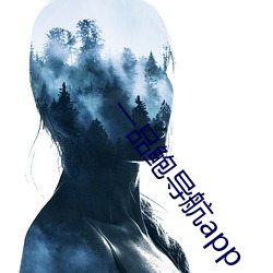 一品鲍导航app