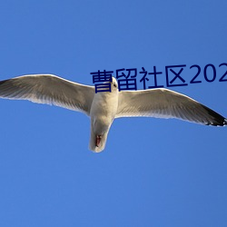 曹留社区2023最新地址一