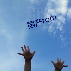 国产rom