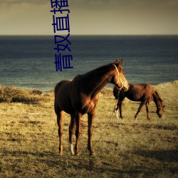 青奴(nú)直播(bō)app