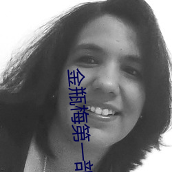 金瓶(瓶)梅第(第)一部(部)