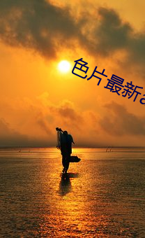vwinӮ(й) - ٷվ