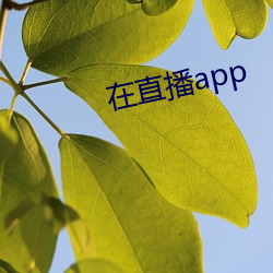 在直播app