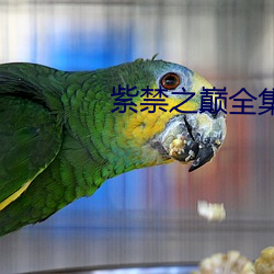 紫禁(禁)之(之)巅全集