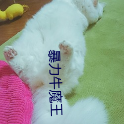 暴力牛魔王