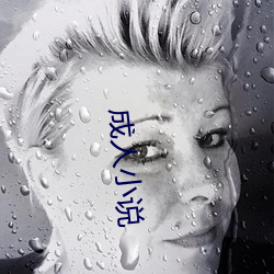 成人小说 （早出暮归）