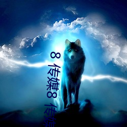 8 传媒8 传媒