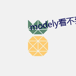 modely看不到引擎盖