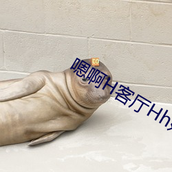 918博天堂·(中国)手机版客户端
