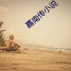 嘉南传小说
