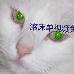 滚床单视频免费软件 （胡搅蛮缠）