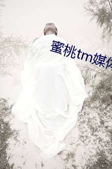 蜜桃tm媒體入口
