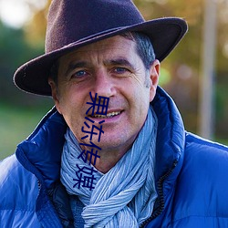 果冻传媒 （鸾翔凤集）
