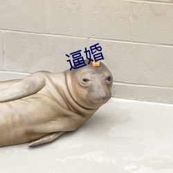逼婚