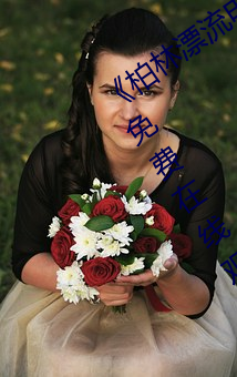 《柏林漂流電影在線觀看免費版》超清免費在線觀看