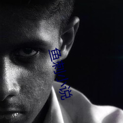 鱼(yú)刺小说