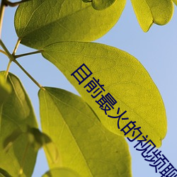 米乐M6·(中国)官方网站