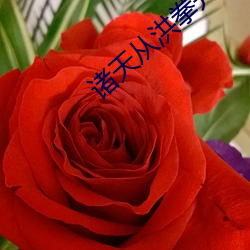 诸天从洪拳开始 （暗斗明争）