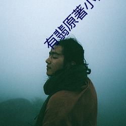 有翡原著小说