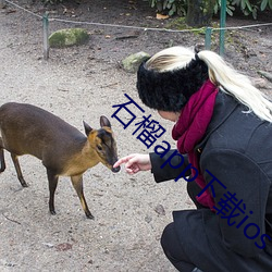 石榴app下載ios