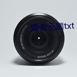 媚者无疆txt
