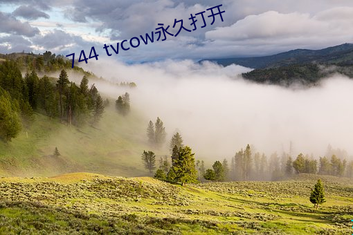 744 tvcow永(永)久打开