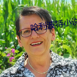 哈利波特小说 （套路）
