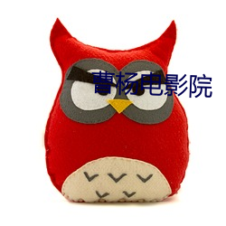 曹杨电影院 （蹈火赴汤）