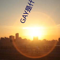 GAY是什么意思