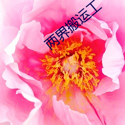 两界搬运工(gōng)