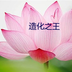 造化(化)之(之)王