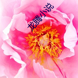 龙腾小说 （休牛散马）