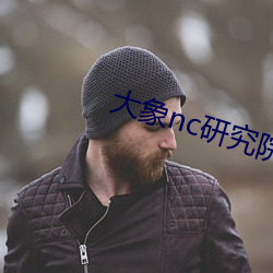 大象nc研究院365日(日)更(更)新