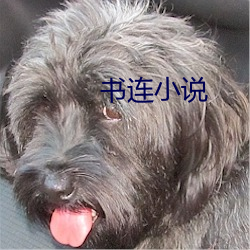 书连(連)小(小)说