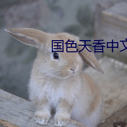 国色天香中文(文)字幕手机在线视频