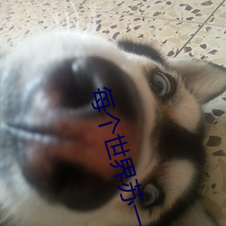 每個世界蘇一遍