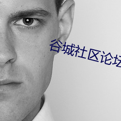 谷城社区论坛网