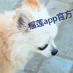 榴莲app官方下(xià)永世载